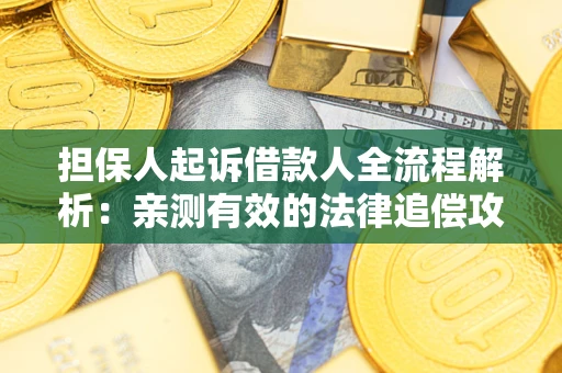 济南担保人起诉借款人全流程解析：亲测有效的法律追偿攻略