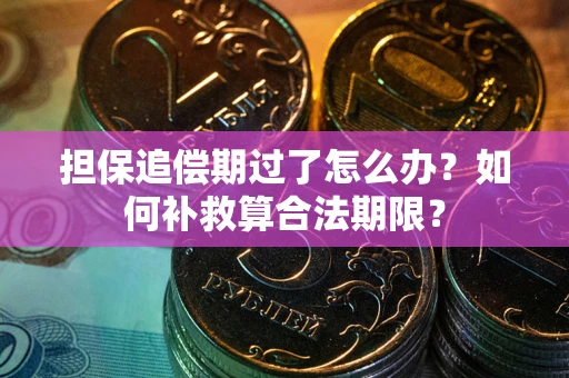 济南担保追偿期过了怎么办？如何补救算合法期限？