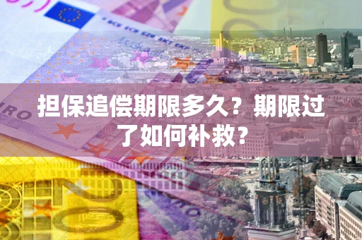 济南担保追偿期限多久？期限过了如何补救？