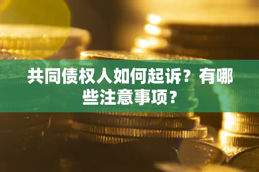 济南共同债权人如何起诉？有哪些注意事项？